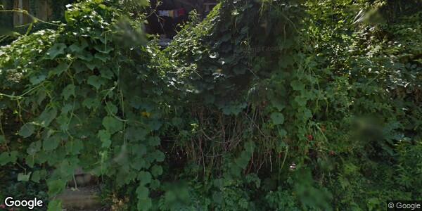 H. AYUNTAMIENTO DE MIXTLA DE ALTAMIRANO